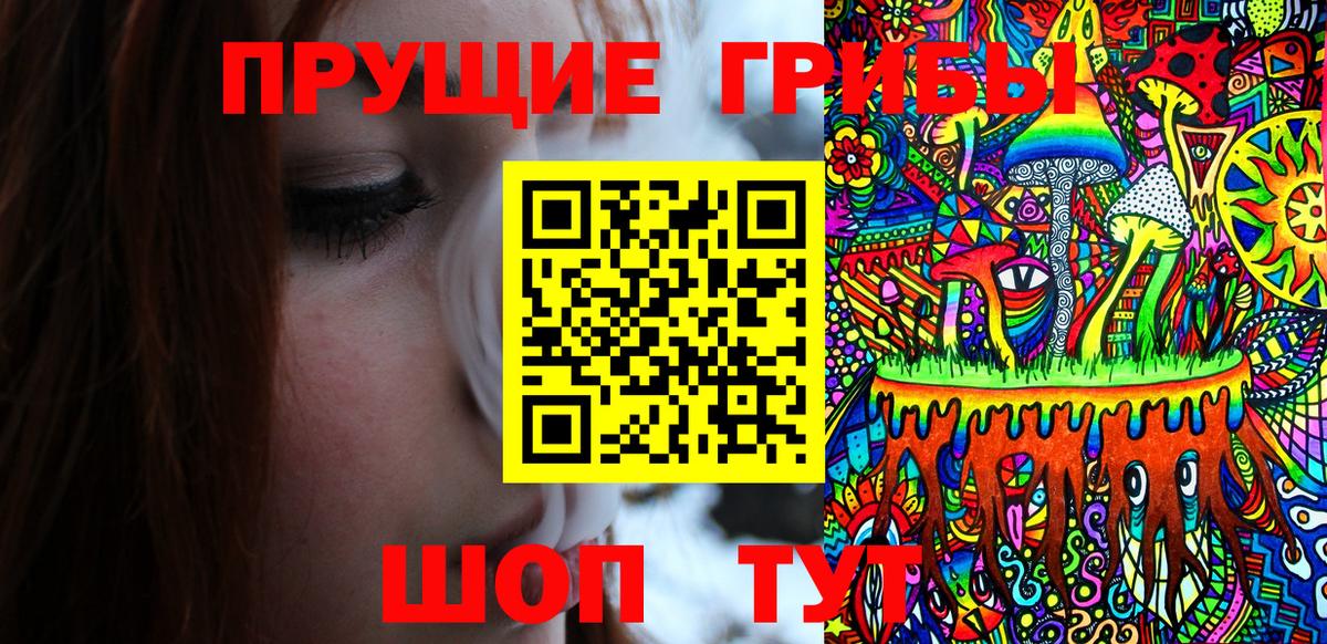 Галлюциногенные грибы мицелий Курчалой